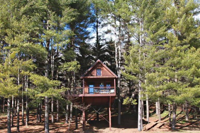 10 Best Secret Treehouse Rentals In Virginia (Updated 2023)