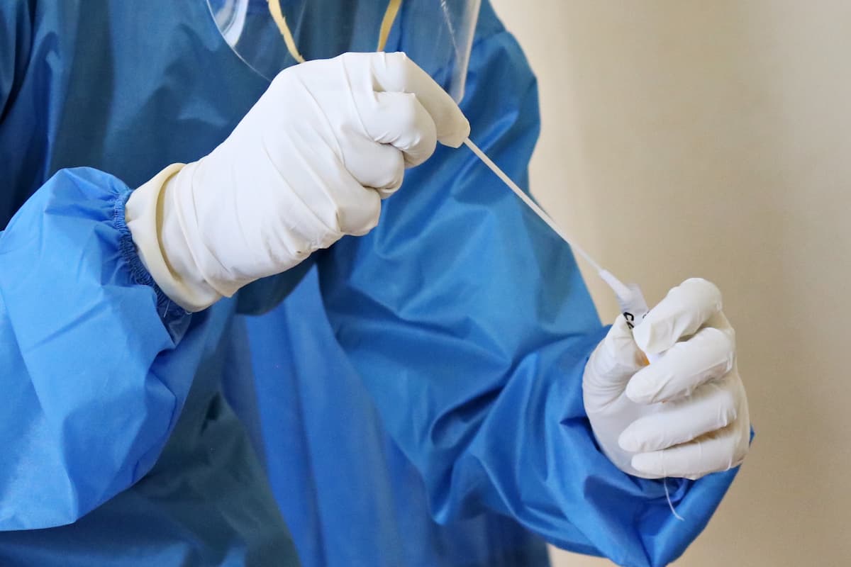 A laboratory person holding a cotton swab stick.