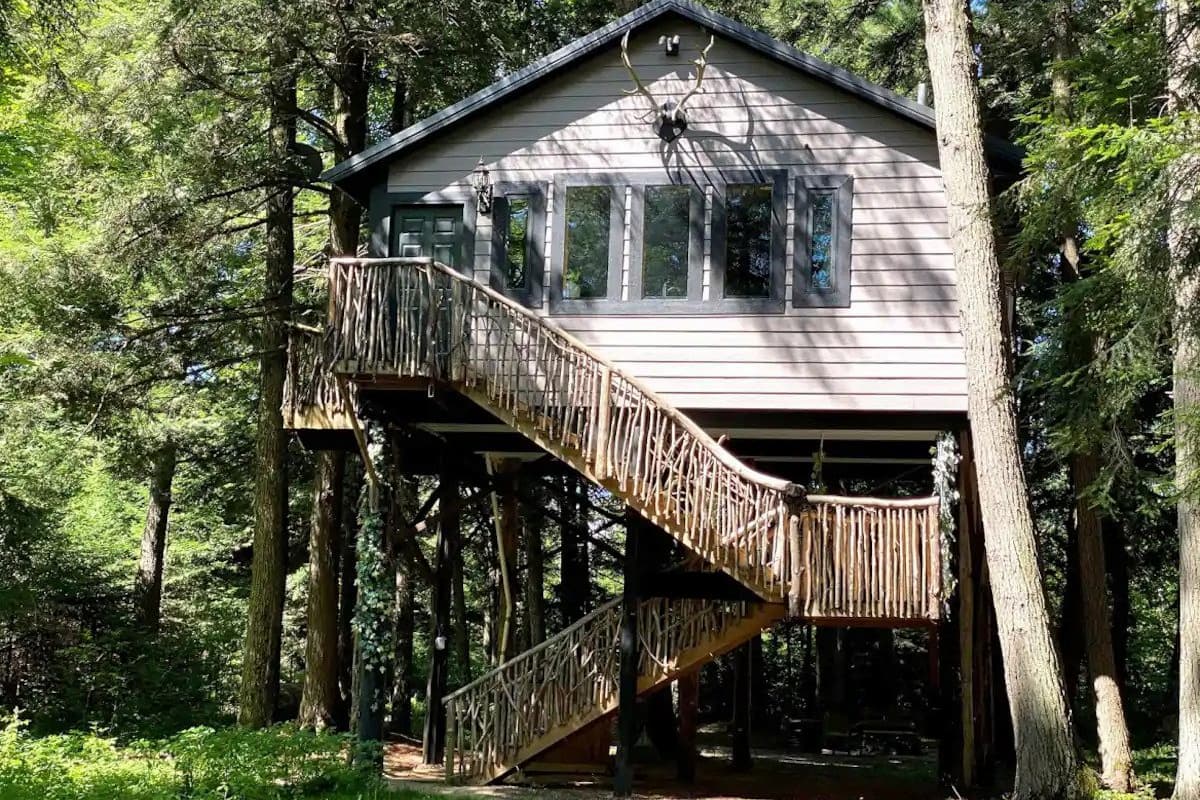 Exterior view of the Spacious Treehouse.
