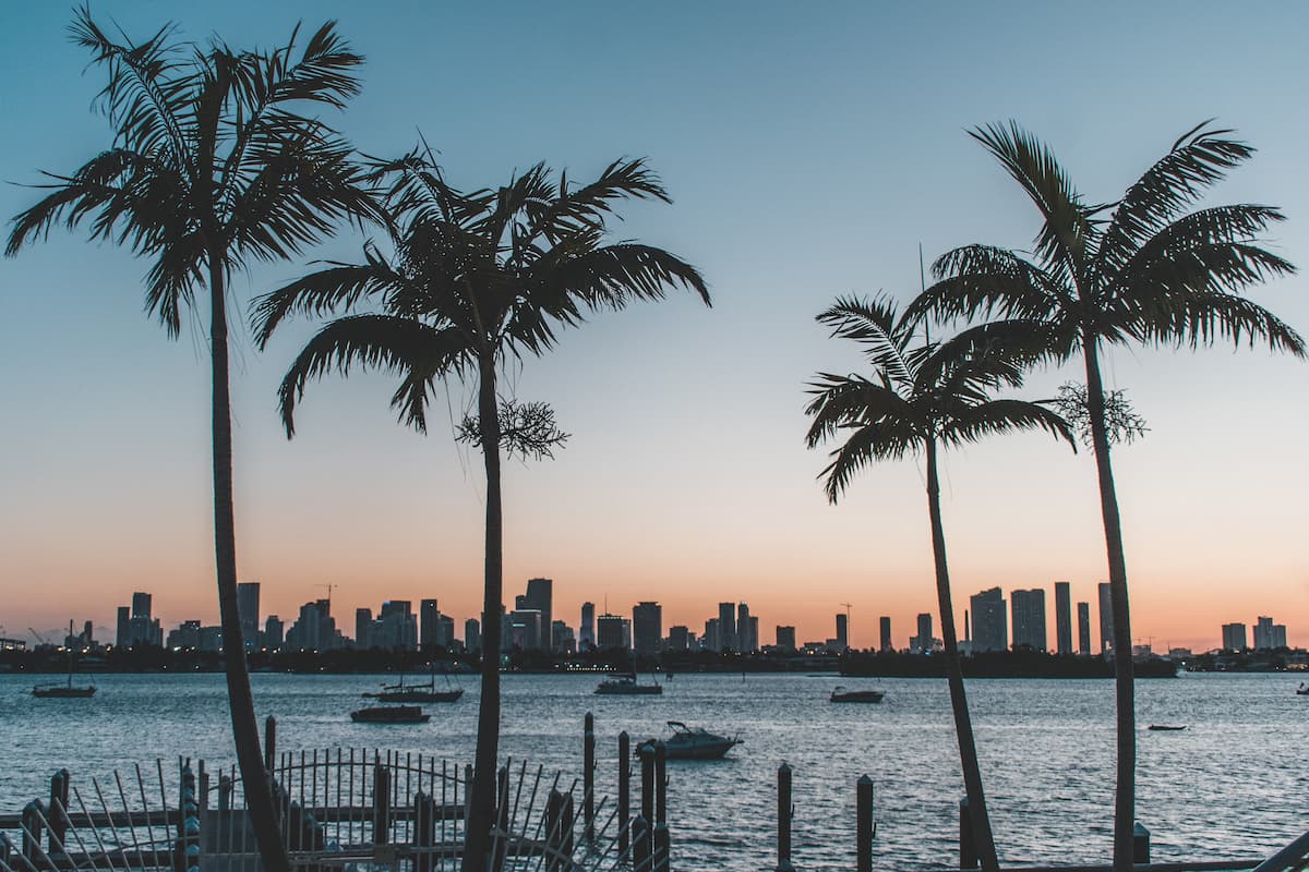 Panoramic view of Miami, Florida with palm trees, boats, and buildings during sunset. 