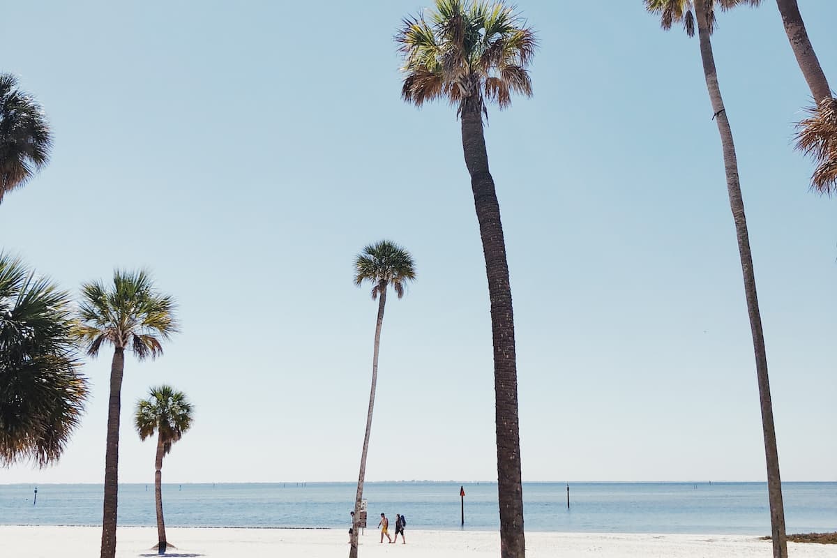 Palm trees on the beach and two people walking on the seashore. 