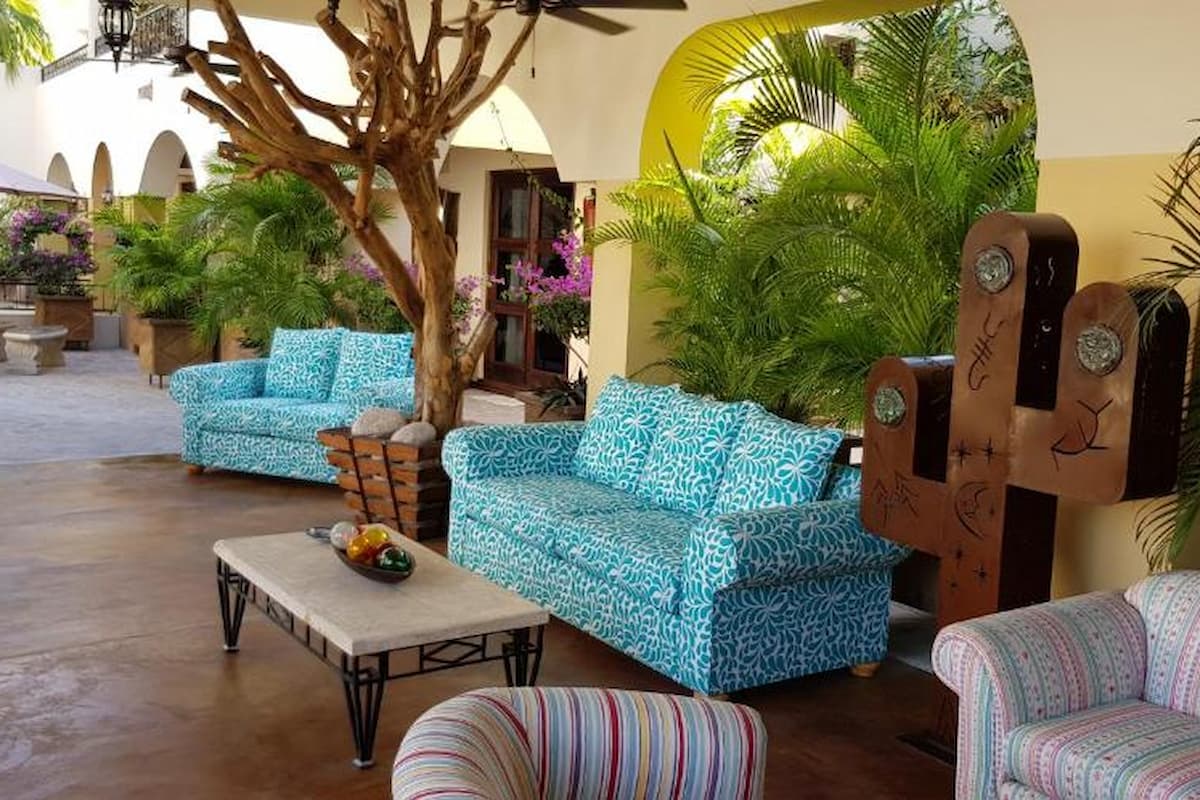 Blue couches and a table with green plants on a patio. 
