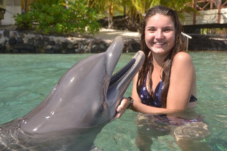 6 Best Places To Go Swimming With Dolphins In The Florida Keys (Updated 2023)